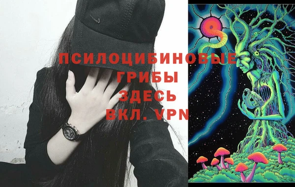 бутират Алзамай