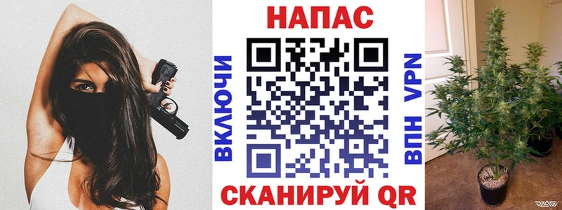 Шишки марихуана конопля  Купить  Волгоград 